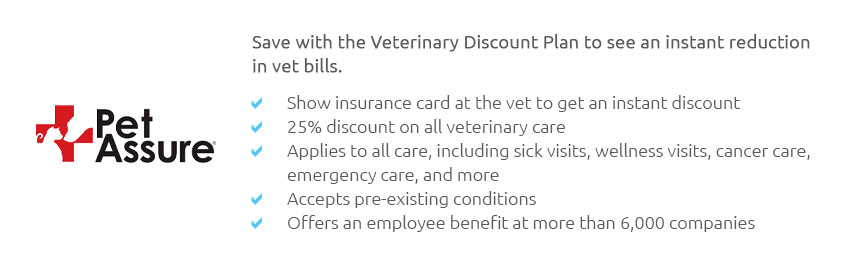 Dog Insurance Lifetime Feb 2025 dog-insurance-lifetime-feb-2025